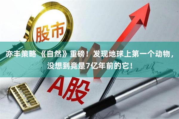 亦丰策略 《自然》重磅！发现地球上第一个动物，没想到竟是7亿年前的它！