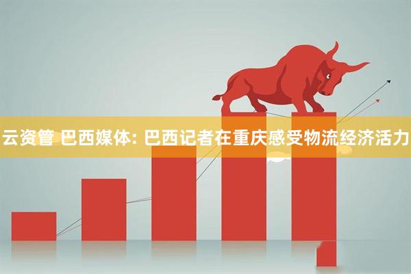 云资管 巴西媒体: 巴西记者在重庆感受物流经济活力
