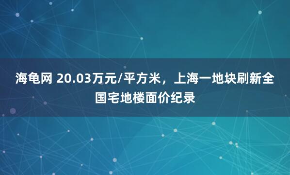 海龟网 20.03万元/平方米，上海一地块刷新全国宅地楼面价纪录