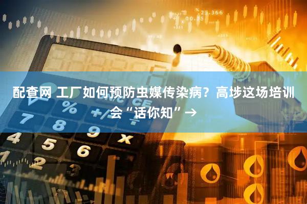 配查网 工厂如何预防虫媒传染病？高埗这场培训会“话你知”→