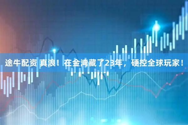 途牛配资 真浪！在金湾藏了23年，硬控全球玩家！