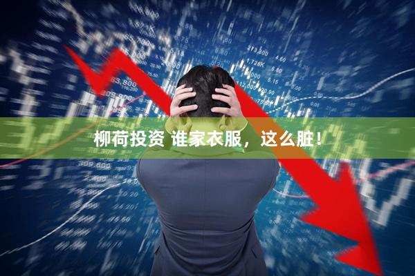 柳荷投资 谁家衣服，这么脏！