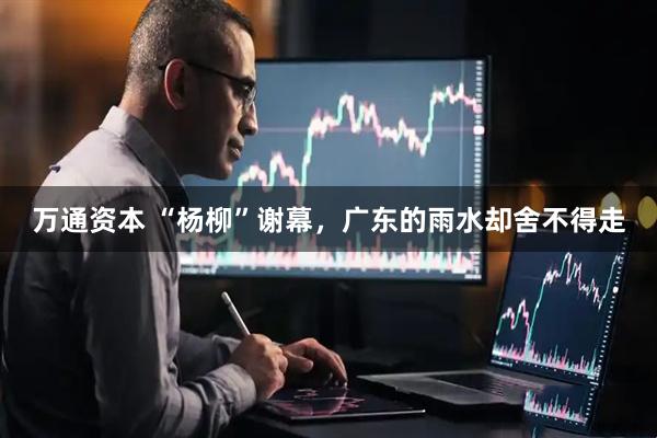 万通资本 “杨柳”谢幕，广东的雨水却舍不得走