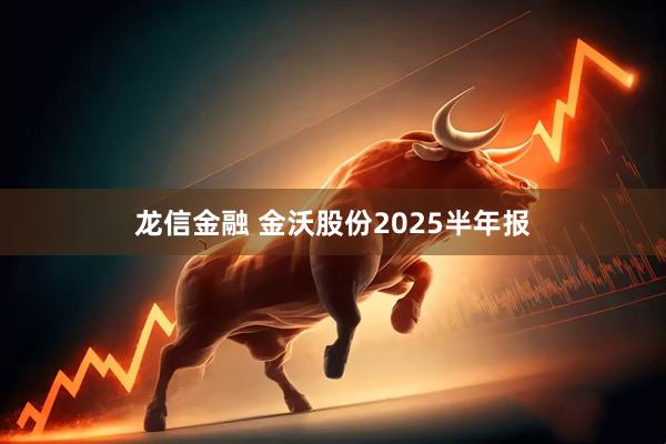 龙信金融 金沃股份2025半年报
