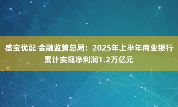 盛宝优配 金融监管总局：2025年上半年商业银行累计实现净利润1.2万亿元