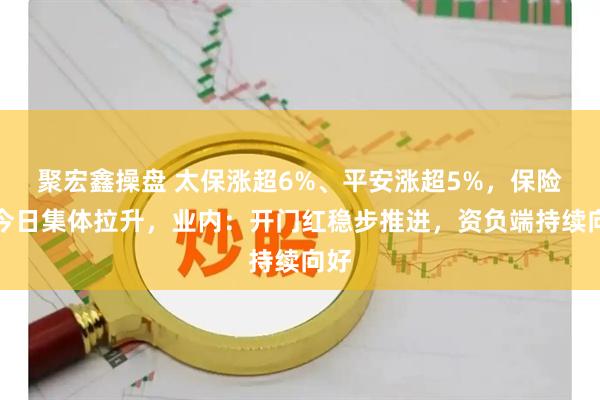 聚宏鑫操盘 太保涨超6%、平安涨超5%，保险股今日集体拉升，业内：开门红稳步推进，资负端持续向好