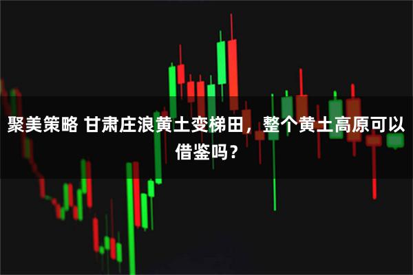 聚美策略 甘肃庄浪黄土变梯田，整个黄土高原可以借鉴吗？